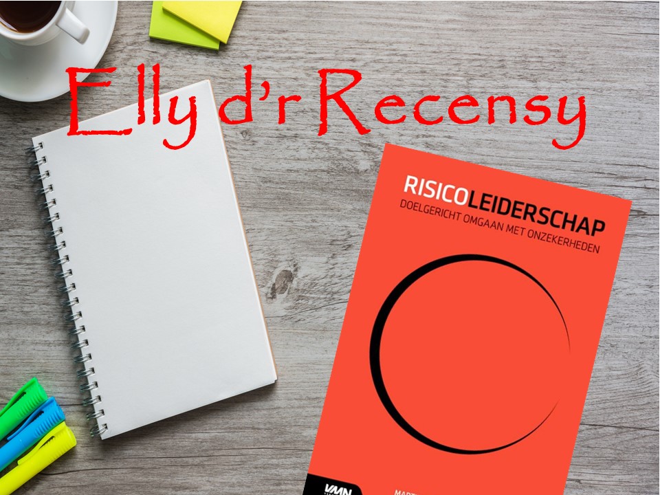 Recensie managementboek risicoleiderschap