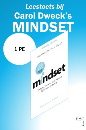 permanente educatie managementboek mindset