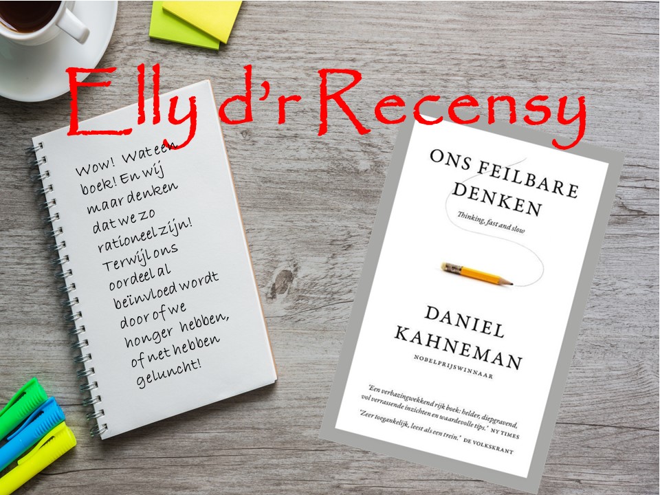 Managementboek Ons feilbare denkenRecensiefoto Ons Feilbare Denken