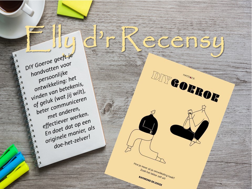 Recensie DIY Goeroe