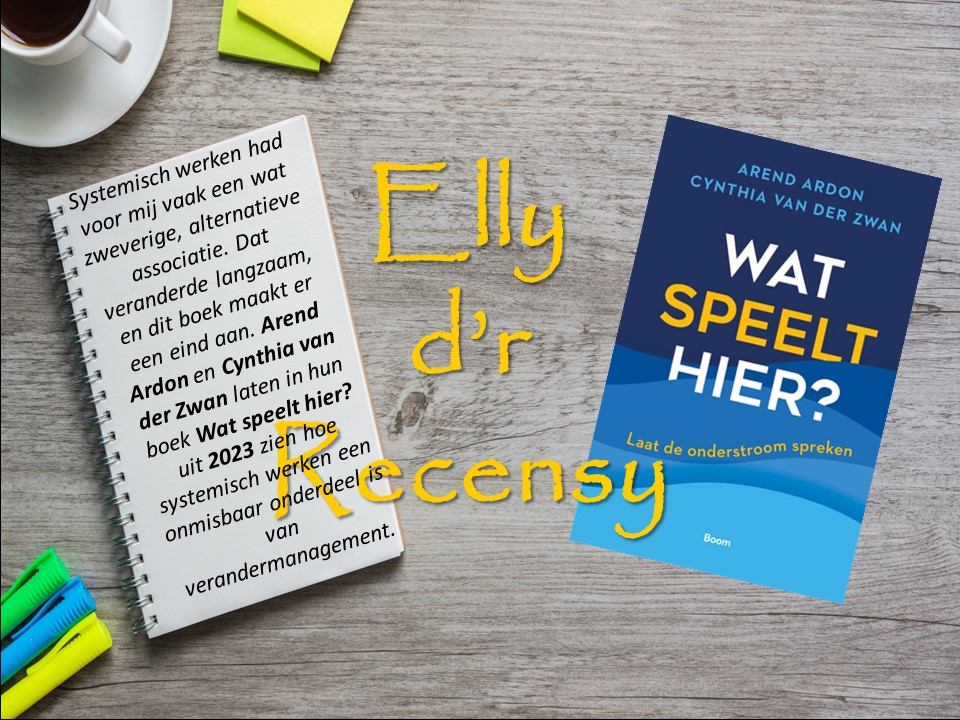 Rechts cover boek Wat speelt hier, links korte recensie.