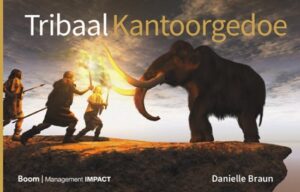 Cover Tribaal kantoorgedoe